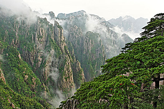 在哪里可以买到听话的水C1B8D97C5-18975
